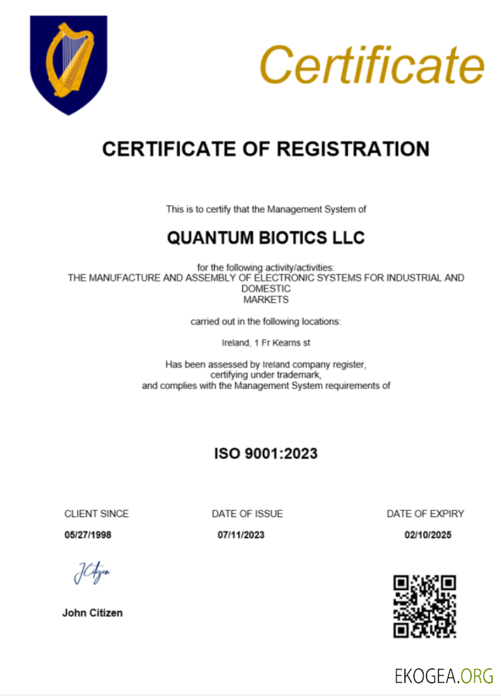 Modèle Word et PDF de certificat d'enregistrement irlandais